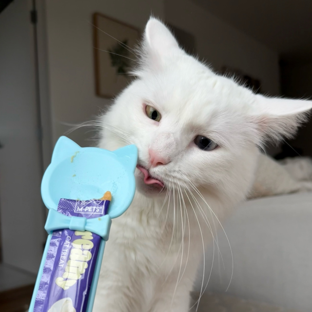 M-PETS Creamy Cat Feeding Spoon - Product Image 4