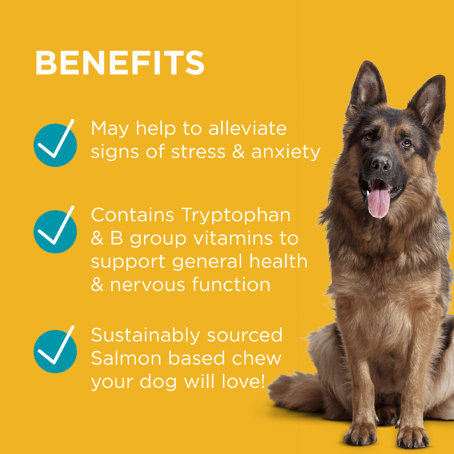 PAW Complete Calm Dog Calming Chews - Product Image 1