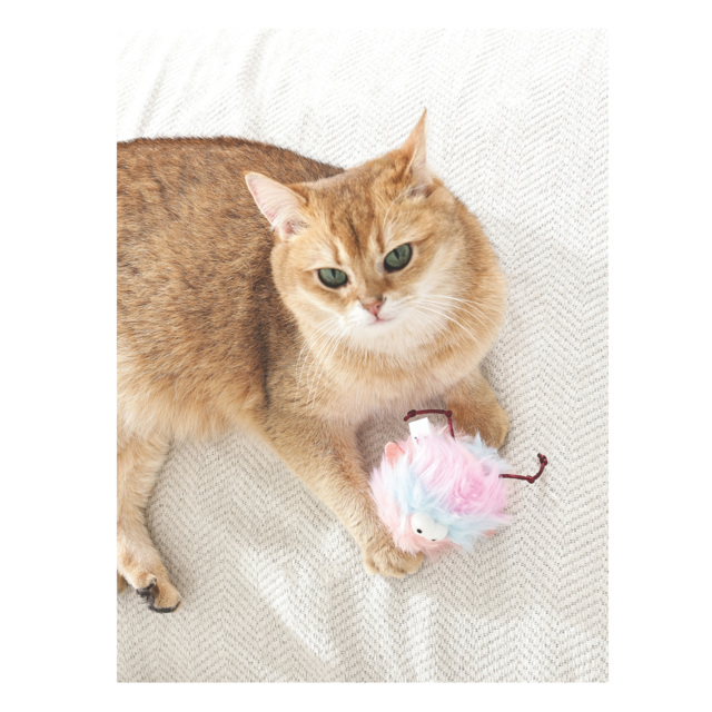 M-PETS Fluffy Loo Doll Cat Toy - Product Image 3