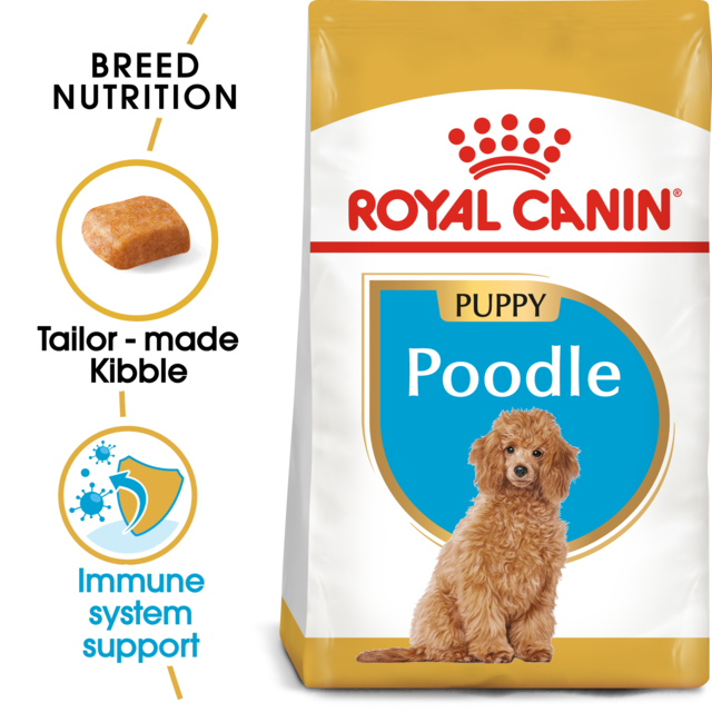 Royal Canin Poodle Puppy Dry Food