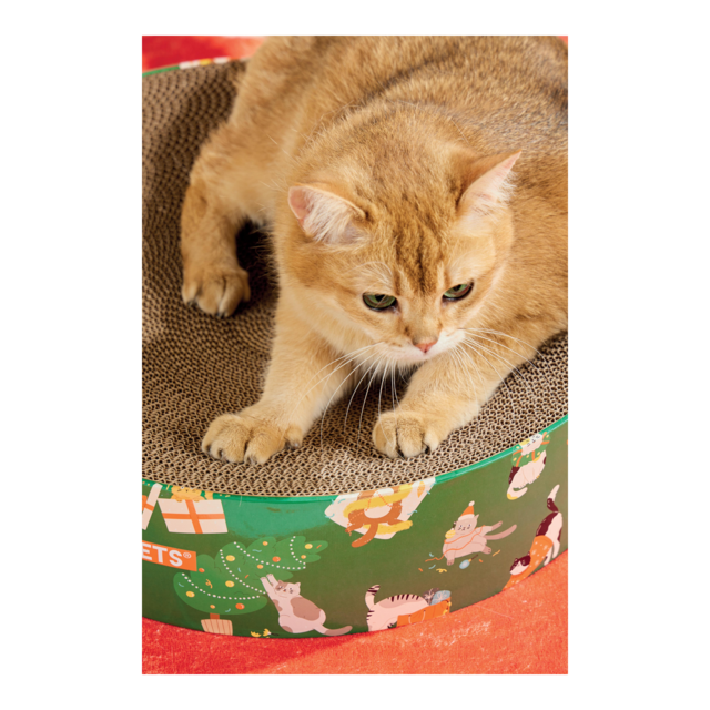 M-PETS Christmas Frosty Mix Cardboard Cat Scratcher - Product Image 2