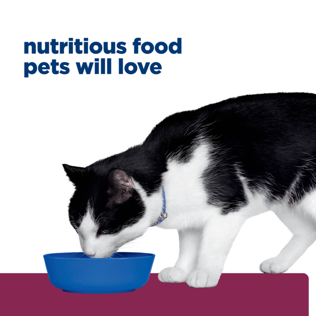 Hill's Prescription Diet i/d Digestive Care Dry Cat Food - Product Image 11