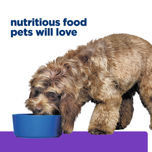 Hill's Prescription Diet b/d + j/d Cognitive + Mobility Dry Dog Food - Product Image 9