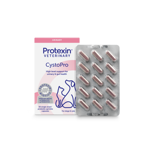 Protexin Veterinary CystoPro Daily Supplement Capsules for Dogs & Cats - Product Image 5