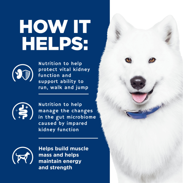 Hill's Prescription Diet k/d j/d Kidney + Mobility Dry Dog Food - Product Image 3
