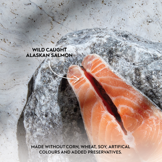 Trilogy Complete Prey Pate Salmon Wet Cat Food - Product Image 4