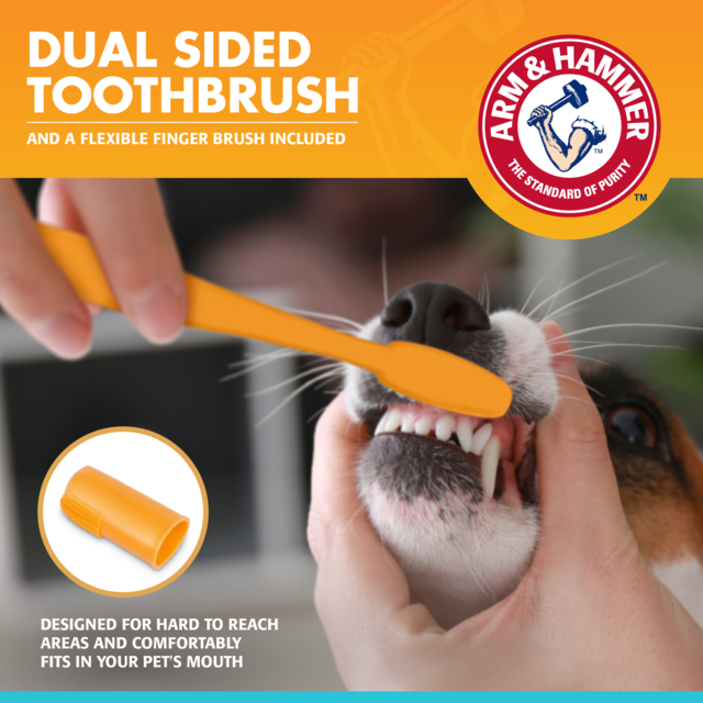 Arm & Hammer Fresh Breath Chicken Dental Kit for Dogs - Product Image 4