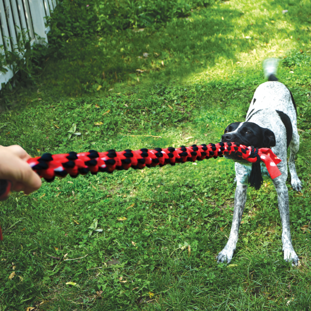KONG Signature Rope Dual Knot Dog Toy - Product Image 1