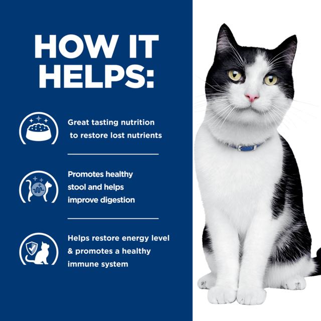 Hill's Prescription Diet i/d Digestive Care Canned Wet Cat Food - Product Image 6