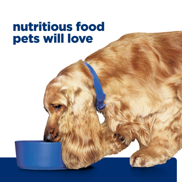 Hill's Prescription Diet z/d Food Sensitivities Dry Dog Food - Product Image 14