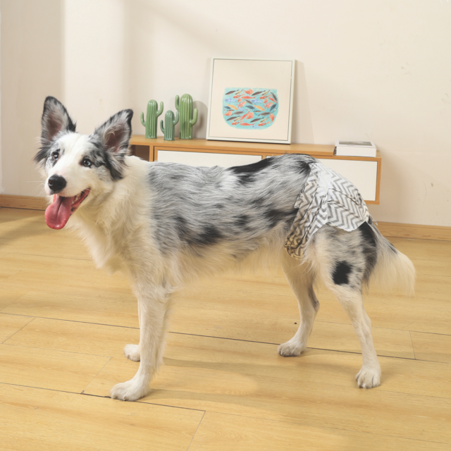 M-PETS Disposable Female Dog Diaper - Product Image 5