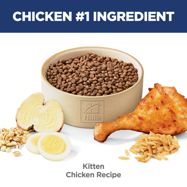 Hill's Science Diet Kitten Chicken Dry Cat Food - Product Image 4