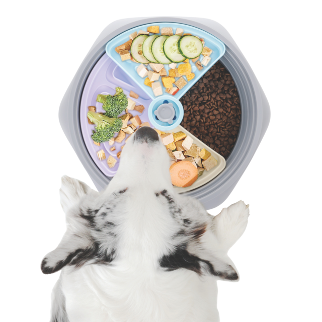 M-PETS Level Up Non-Slip Slow Feeder Bowl - Product Image 7