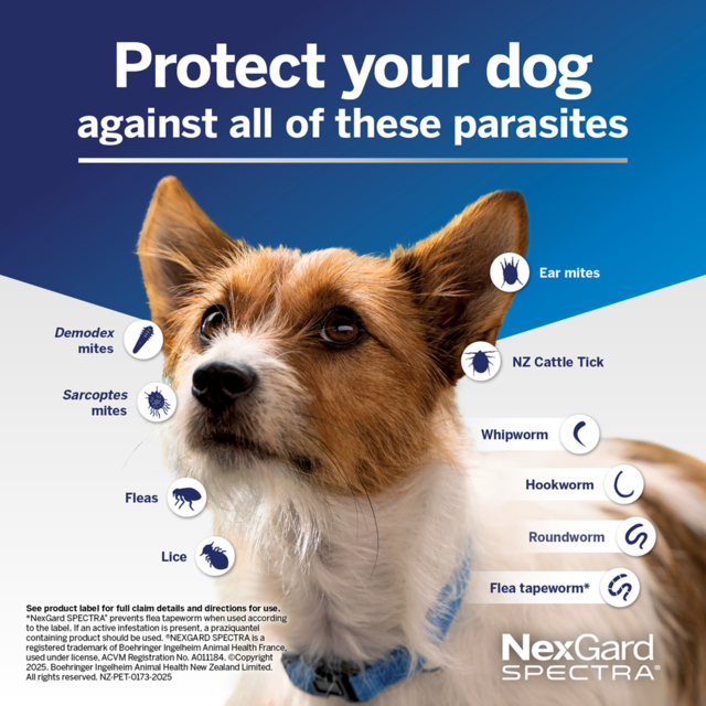 NexGard Spectra Flea Tick & Worm Treatment Chew for Dogs - Product Image 3