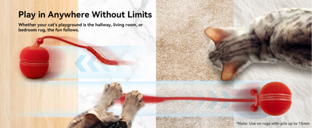 Cheerble Wicked Ball Duo 2 Smart Cat Toy - Product Image 4