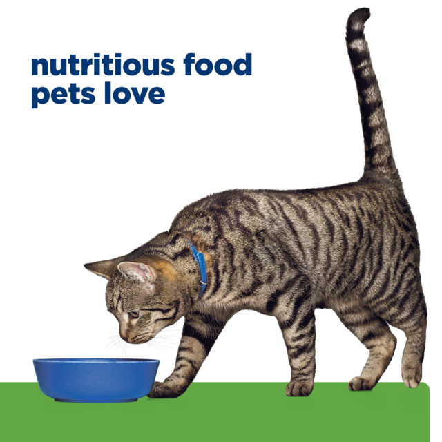 Hill's Prescription Diet Metabolic Weight Loss & Maintenance Dry Cat Food - Product Image 10