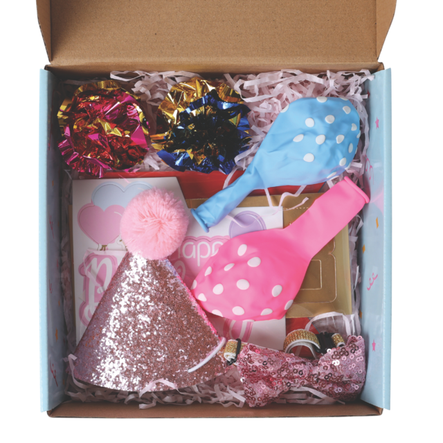 M-PETS Party Time Lady Birthday Party Pack For Cats - Product Image 1