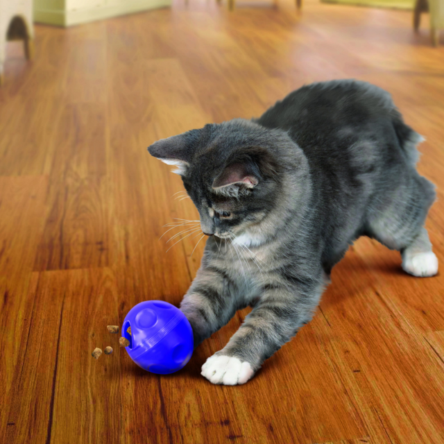 KONG Treat Dispensing Ball Cat Toy - Product Image 1
