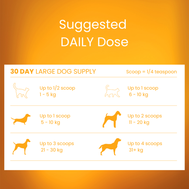 Tandem Cat & Dog Bovine Colostrum Powder Super Food - Product Image 2