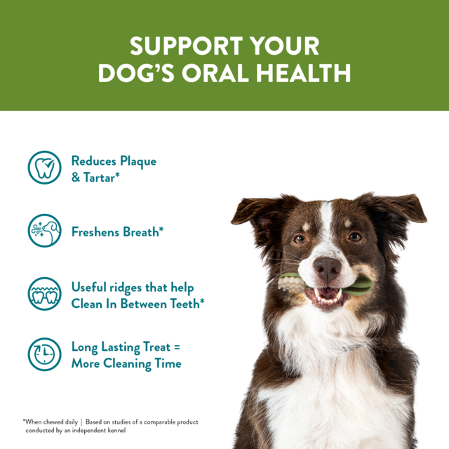 Whimzees Variety Dental Pack Dog Treats - Product Image 2