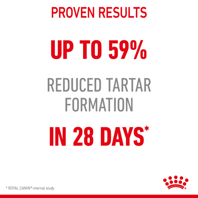 Royal Canin Dental Care Dry Cat Food - Product Image 4