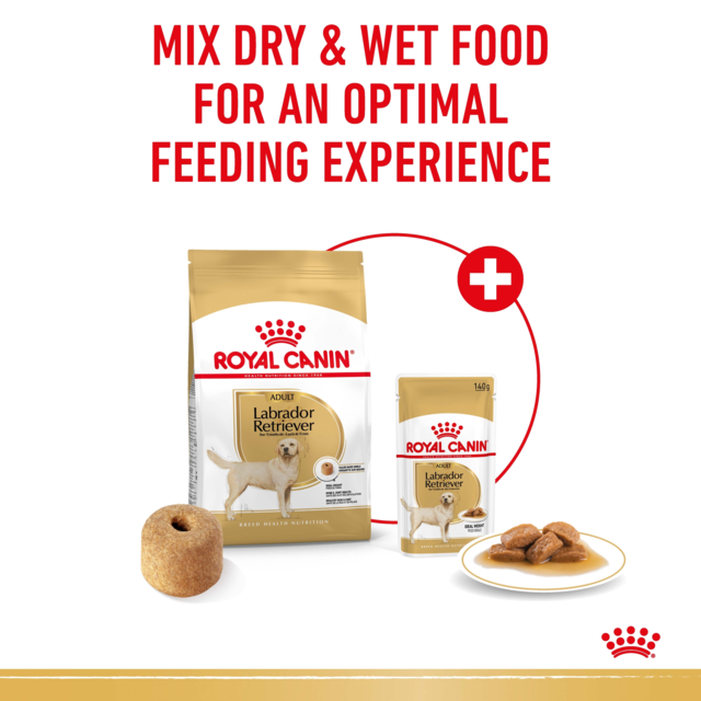 Royal Canin Labrador Retriever Adult Dry Dog Food - Product Image 5