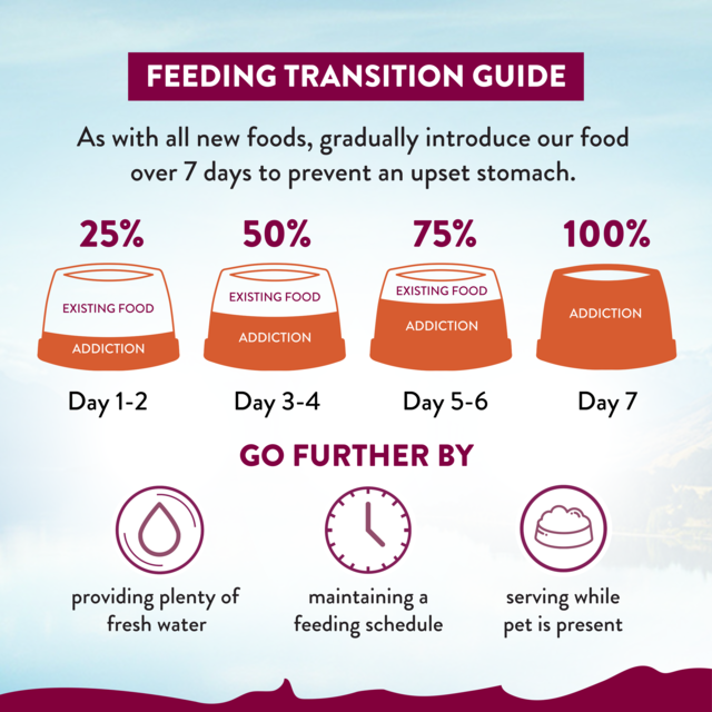 Addiction MEGA Country Chicken Dinner Loaf Wet Dog Food - Product Image 6