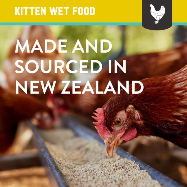 Kiwi Kitchens Chicken & Mussel Kitten Wet Cat Food - Product Image 3