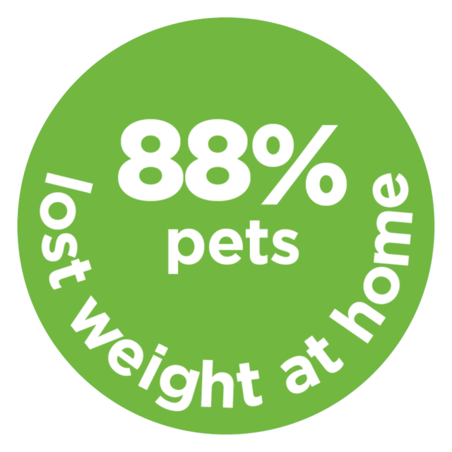 Hill's Prescription Diet Metabolic Weight Loss & Maintenance Dry Cat Food - Product Image 2