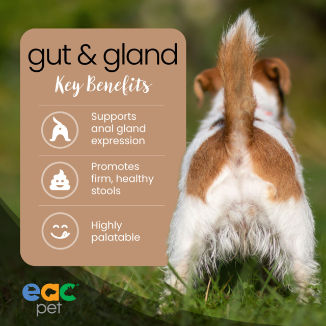 EAC Animal Care Gut & Gland Anal Gland Expression Support for Dogs - Product Image 3