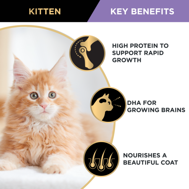 Pro Plan Kitten Chicken Dry Cat Food - Product Image 3