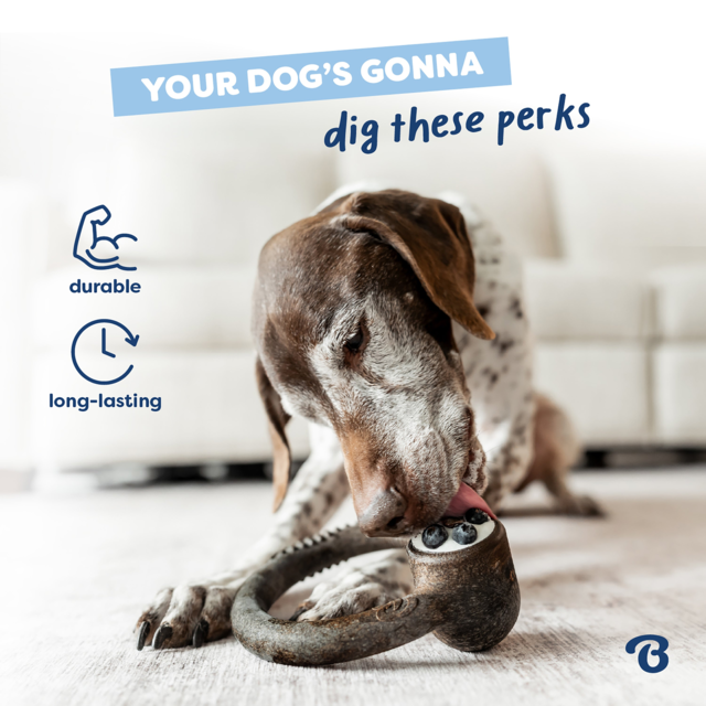 Benebone Blueberry Ring  Dog Chew Toy - Product Image 7