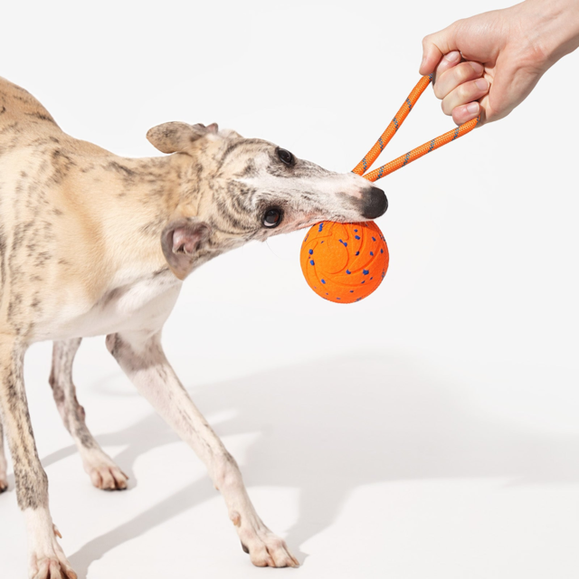 Cheerble Wicked Ball Air Rope Smart Dog Toy - Product Image 8