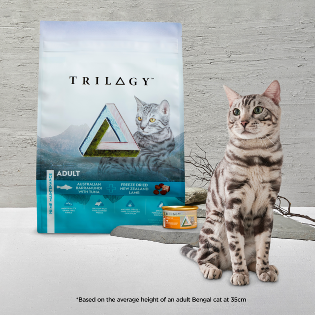 Trilogy Complete Prey Pate Salmon Wet Cat Food - Product Image 12