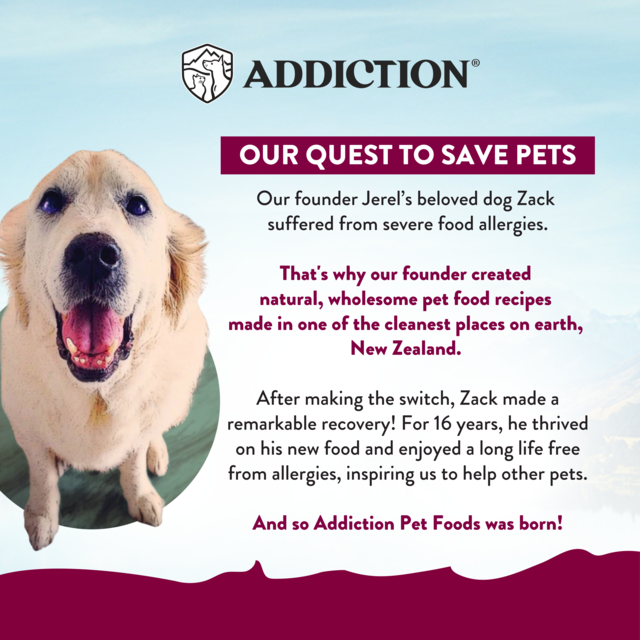 Addiction MEGA Country Chicken Dinner Loaf Wet Dog Food - Product Image 7