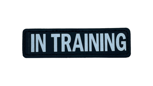 Ezydog Side Patch IN TRAINING - Product Image