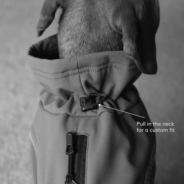 Pointer & Hound Waterproof Dog Jacket  - Product Image 4