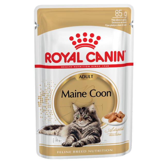 Royal Canin Maine Coon Adult Wet Cat Food - Product Image 1