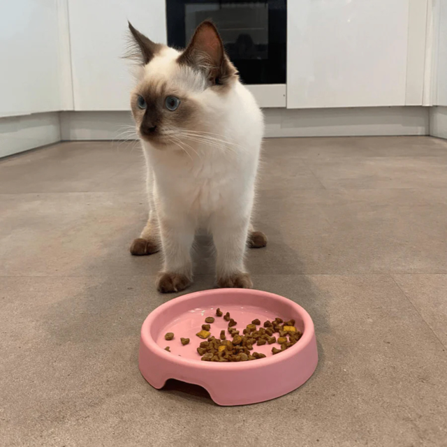 Beco Steady Cat Bowl - Product Image 3