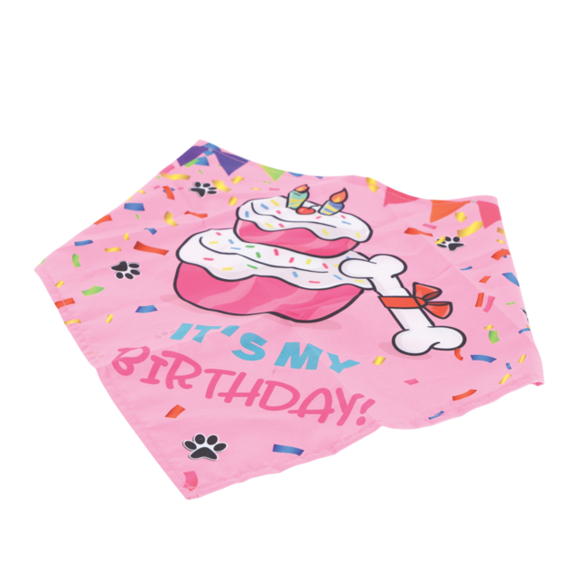 M-PETS Party Time Lady Birthday Party Pack For Dogs - Product Image 6