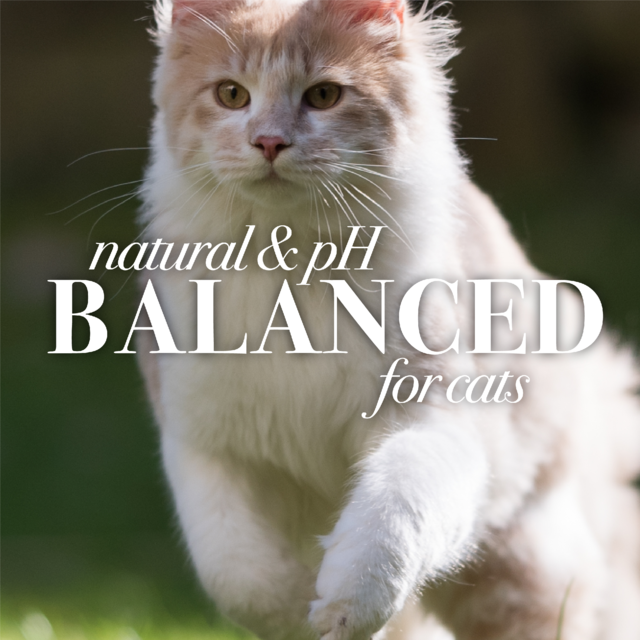 Burt's Bees Hypoallergenic Cat Shampoo - Product Image 1