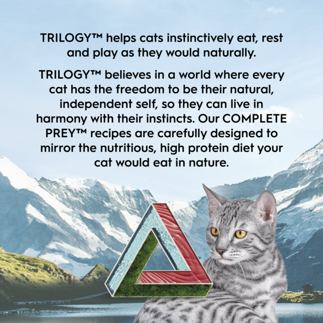 Trilogy Complete Prey Pate Tuna Wet Cat Food - Product Image 8
