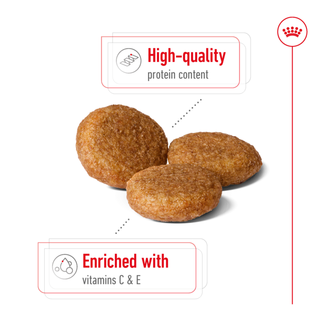 Royal Canin Medium Adult Dry Dog Food - Product Image 3