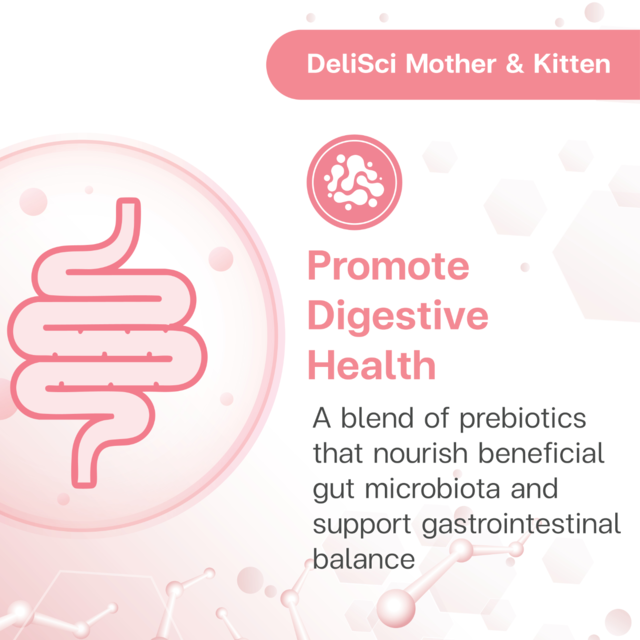 VetSynova DeliSci Mother & Kitten Mousse Wet Cat Food  - Product Image 5