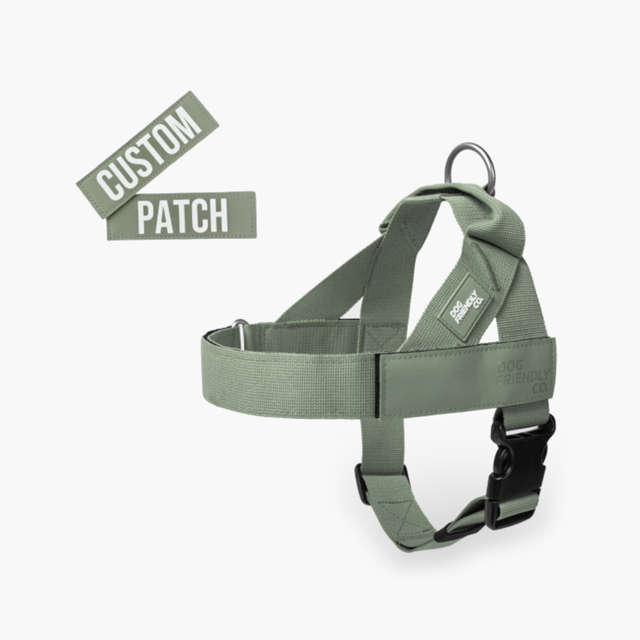 Dog Friendly Co. Premium Custom Dog Harness Combo - Product Image