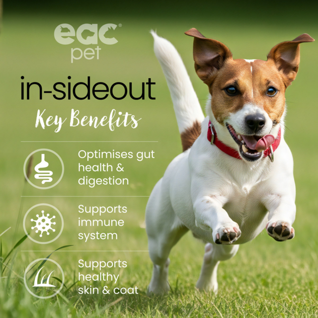EAC Animal Care In-Sideout Dog Probiotic Supplement - Product Image 1
