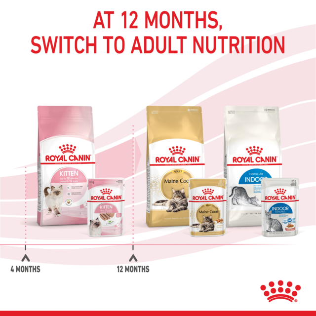 Royal Canin Kitten Dry Cat Food - Product Image 7