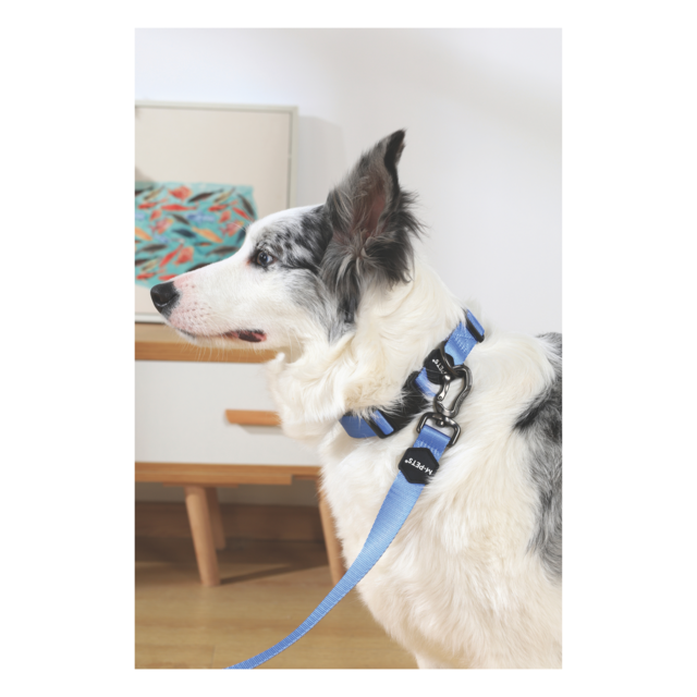 M-PETS Gentle Dog Leash - Product Image 2