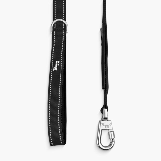 Dog Friendly Co.Bungee Dog Leash - Product Image 1