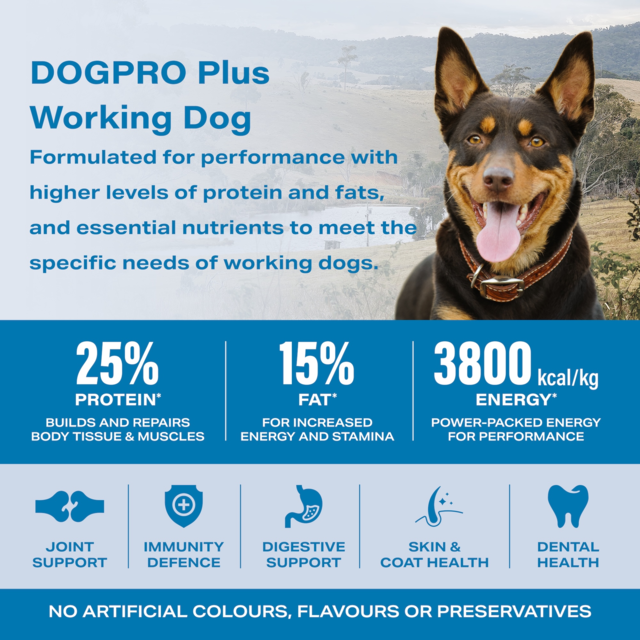 Dogpro Plus Adult Working Dog Aussie Beef Dry Dog Food - Product Image 5